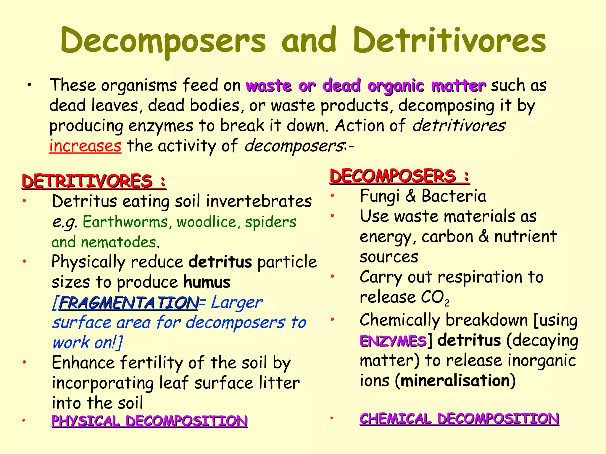 Decomposers and Detritivores These organisms feed on  waste or dead organic matter  such as dead leaves, dead bodies, or waste products, decomposing it by producing enzymes to break it down. Action of  detritivores   increases  the activity of  decomposers :- DETRITIVORES : Detritus eating soil invertebrates  e.g.   Earthworms, woodlice, spiders and nematodes . Physically reduce  detritus  particle sizes to produce  humus   [ FRAGMENTATION = Larger surface area for decomposers to work on!] Enhance fertility of the soil by incorporating leaf surface litter into the soil PHYSICAL DECOMPOSITION DECOMPOSERS : Fungi & Bacteria  Use waste materials as energy, carbon & nutrient sources Carry out respiration to release CO 2 Chemically breakdown [using  ENZYMES ]  detritus  (decaying matter) to release inorganic ions ( mineralisation ) CHEMICAL DECOMPOSITION 