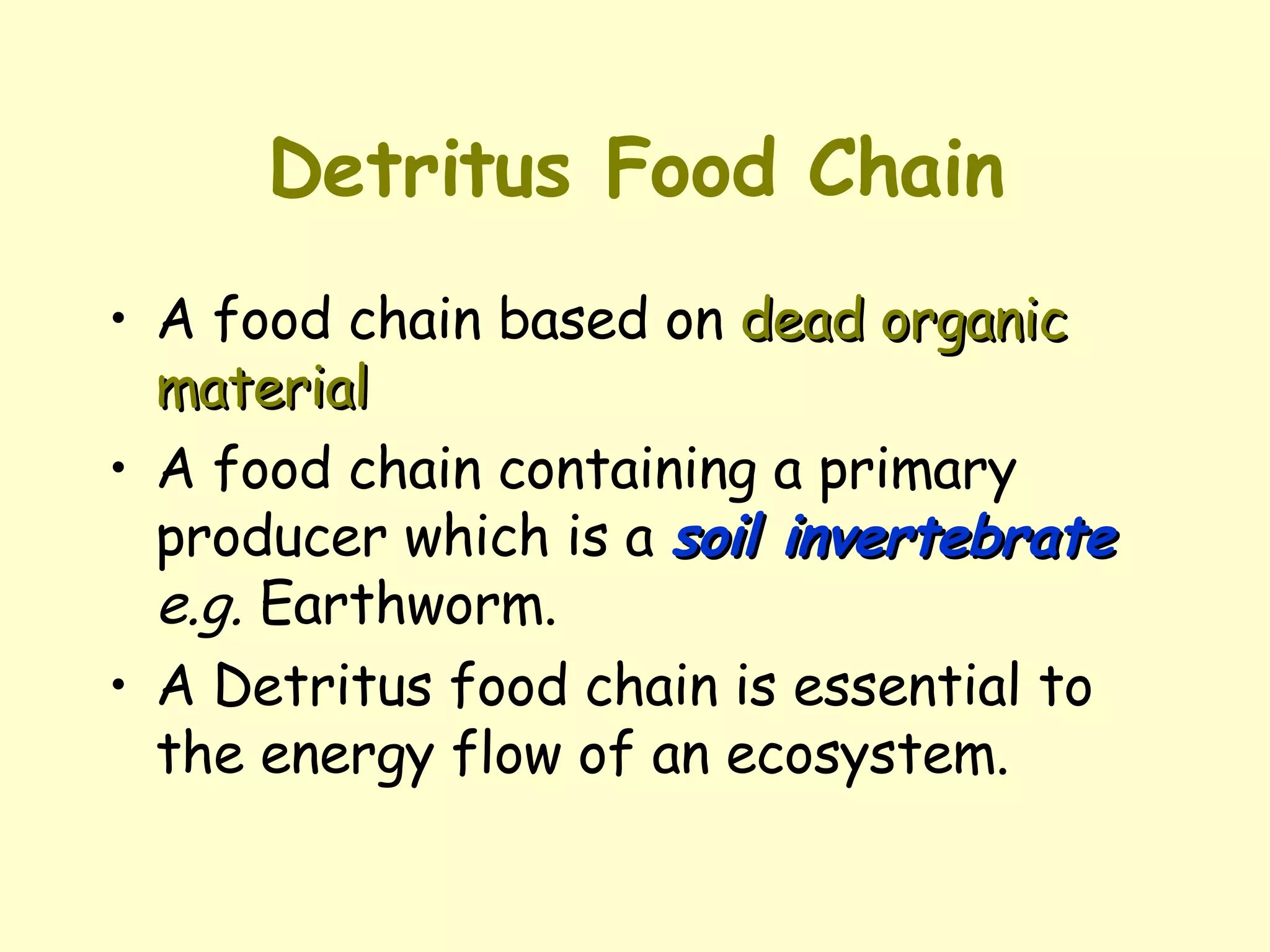 Detritus Food Chain   A food chain based on  dead organic material A food chain containing a primary producer which is a  soil invertebrate   e.g.  Earthworm. A Detritus food chain is essential to the energy flow of an ecosystem. 
