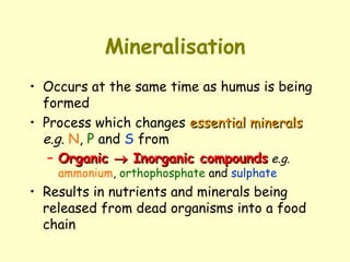 Mineralisation Occurs at the same time as humus is being formed Process which changes  essential minerals   e.g.   N ,  P  and  S  from  Organic    Inorganic compounds   e.g.   ammonium ,  orthophosphate  and  sulphate Results in nutrients and minerals being released from dead organisms into a food chain 