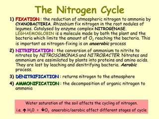 The Nitrogen Cycle 1) FIXATION  : the reduction of atmospheric nitrogen to ammonia by  CYANOBACTERIA .  Rhizobium  fix nitrogen in the root nodules of legumes. Catalysed by enzyme complex  NITROGENASE .  LEGHAEMOGLOBIN  is a molecule made by both the plant and the bacteria which limits the amount of O 2  reaching the bacteria. This is important as nitrogen-fixing is an  anaerobic  process 2) NITRIFICATION  : the conversion of ammonium to nitrite to nitrates by  NITROSOMONAS  and  NITROBACTER.  Nitrates and ammonium are assimilated by plants into proteins and amino acids. They are lost by leaching and denitrifying bacteria.  Aerobic  process. 3) DENITRIFICATION   : returns nitrogen to the atmosphere 4) AMMONIFICATION  : the decomposition of organic nitrogen to ammonia  Water saturation of the soil affects the cycling of nitrogen. i.e.    H 2 0  =   O 2   anaerobic/aerobic affect different stages of cycle 