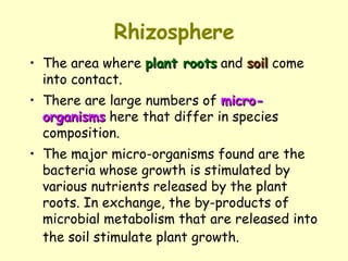 Rhizosphere The area where  plant roots  and  soil  come into contact.  There are large numbers of  micro-organisms  here that differ in species composition.  The major micro-organisms found are the bacteria whose growth is stimulated by various nutrients released by the plant roots. In exchange, the by-products of microbial metabolism that are released into the soil stimulate plant growth.   