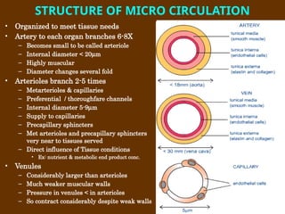 Circulation - SP (2).pptx veterinary physiology | PPTX