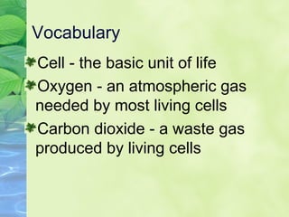 Vocabulary
Cell - the basic unit of life
Oxygen - an atmospheric gas
needed by most living cells
Carbon dioxide - a waste gas
produced by living cells
 