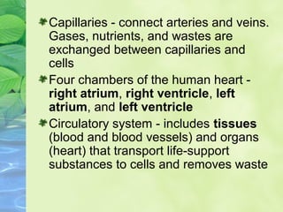 Capillaries - connect arteries and veins.
Gases, nutrients, and wastes are
exchanged between capillaries and
cells
Four chambers of the human heart -
right atrium, right ventricle, left
atrium, and left ventricle
Circulatory system - includes tissues
(blood and blood vessels) and organs
(heart) that transport life-support
substances to cells and removes waste
 