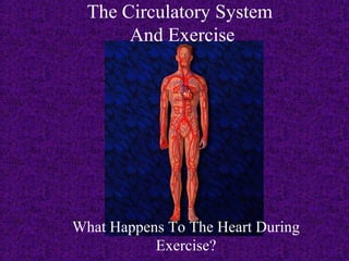 The Circulatory System
       And Exercise




What Happens To The Heart During
           Exercise?
 
