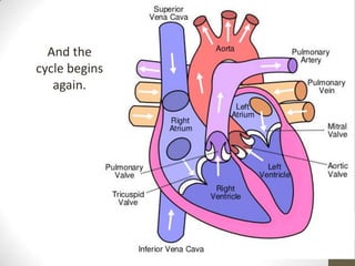 And the
cycle begins
   again.
 
