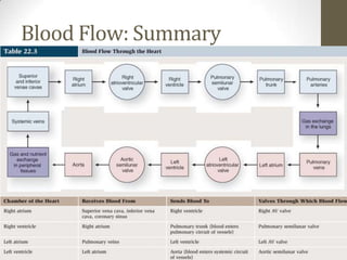 Blood Flow: Summary
 