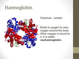 Haemoglobin
              Chemical – protein


              Binds to oxygen to carry
              oxygen around the body.
              When oxygen is bound to
              it, it is called
              oxyhaemoglobin.
 