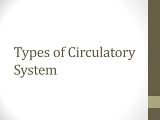 Types of Circulatory
System
 