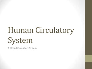 Human Circulatory
System
A Closed Circulatory System
 