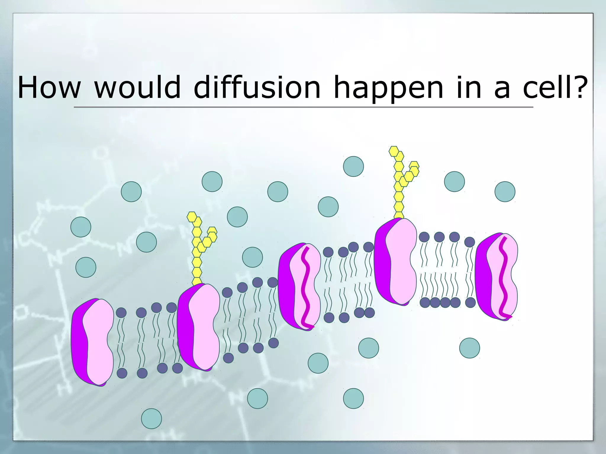 How would diffusion happen in a cell?

 