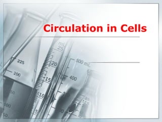 Circulation in Cells

 
