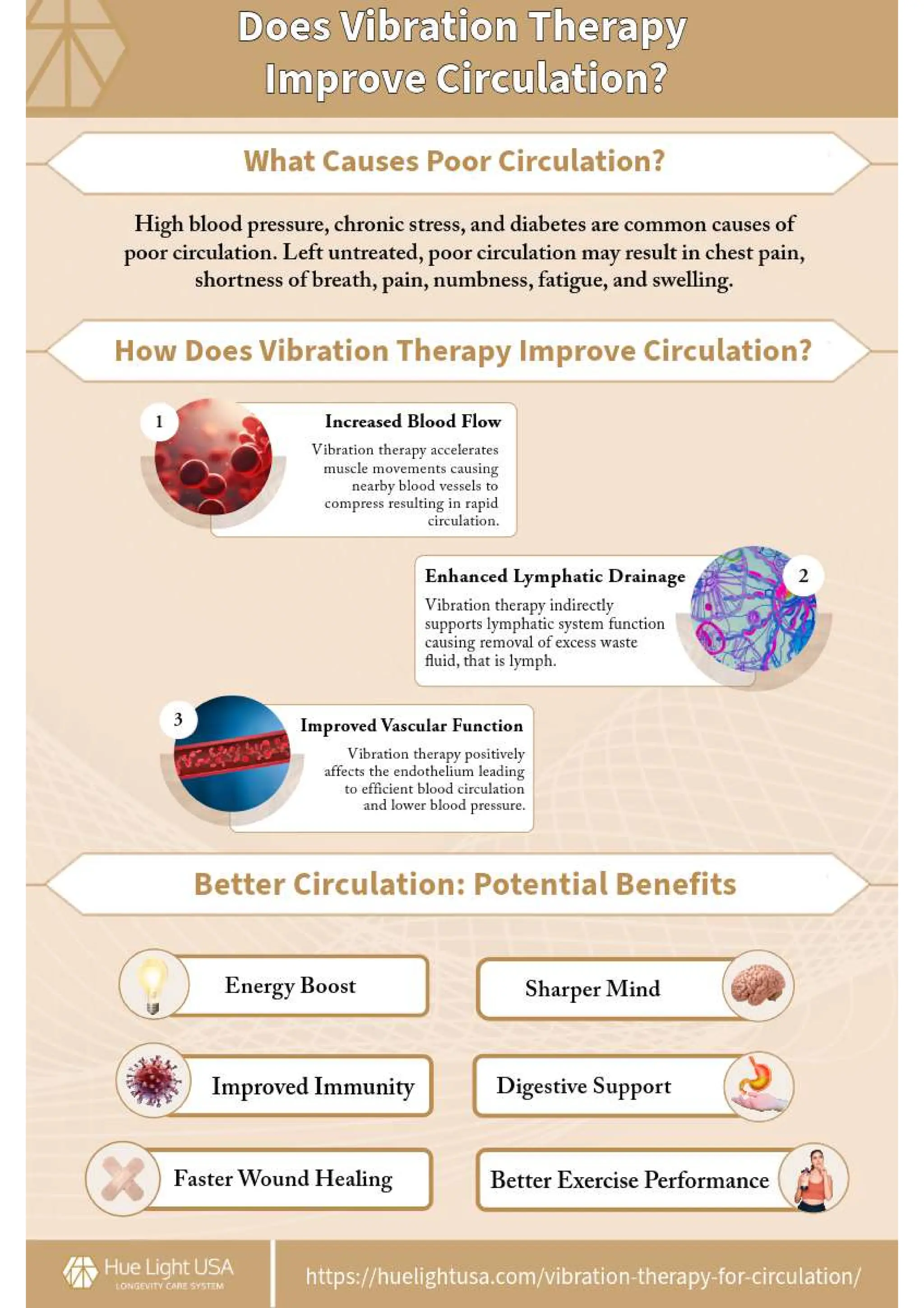 Does Vibration Therapy Improve Circulation? PDF