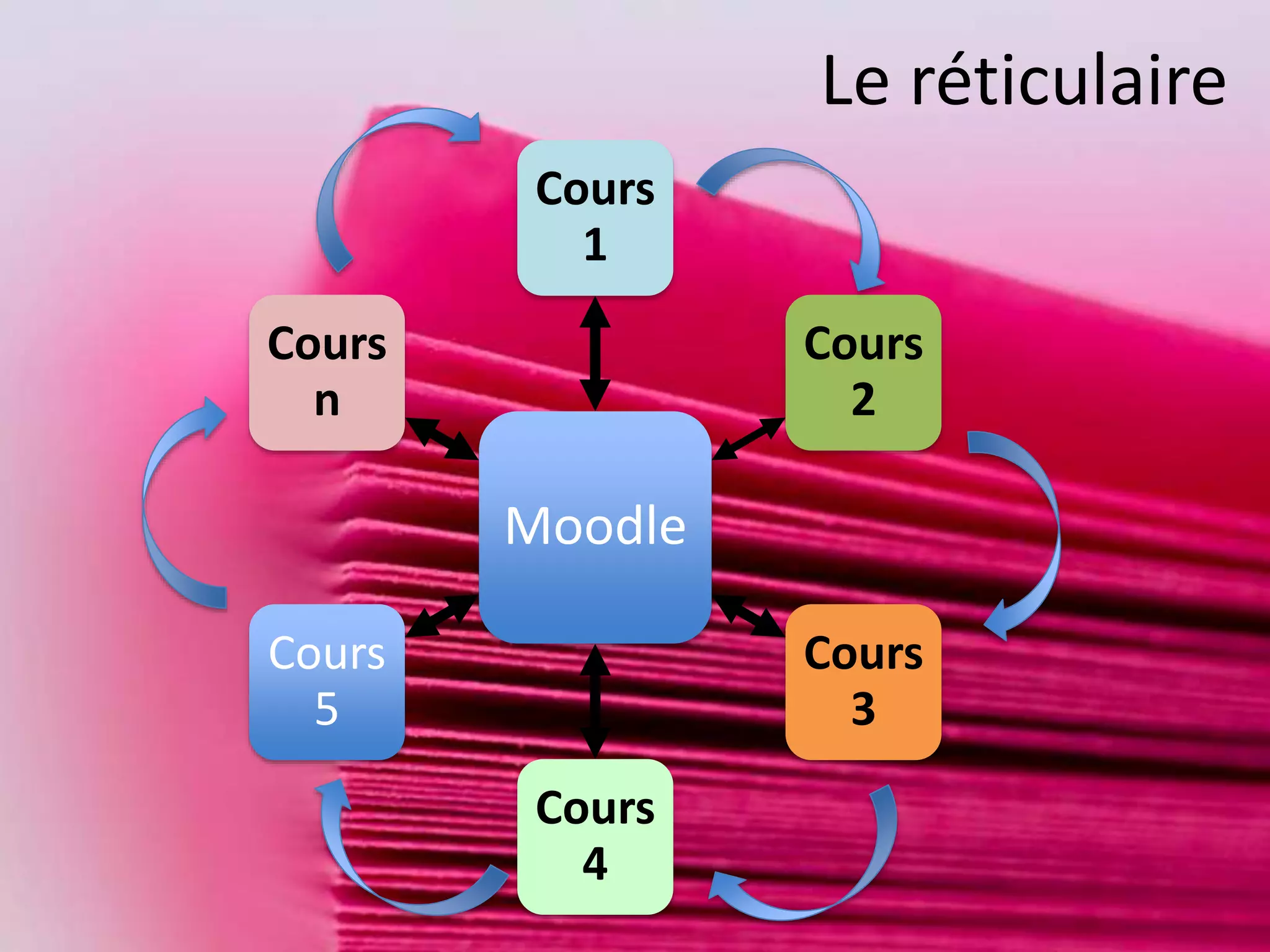 Moodle
Cours
1
Cours
2
Cours
3
Cours
4
Cours
5
Cours
n
Le réticulaire
 