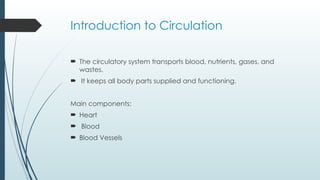 Circulation of Blood In Human Body .pptx