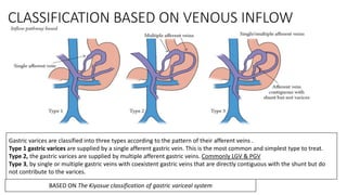 Circulation of liver & Portosystemic collaterals | PPTX