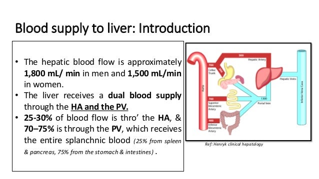 Circulation of liver & Portosystemic collaterals