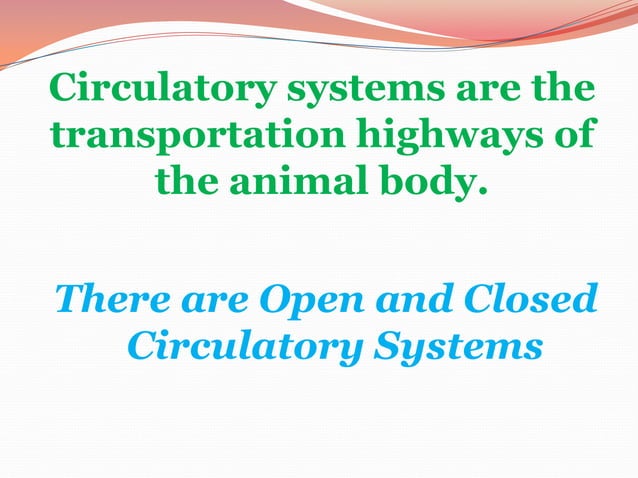 Circulation powerpoint | PPSX | Heart and Cardiovascular Diseases ...