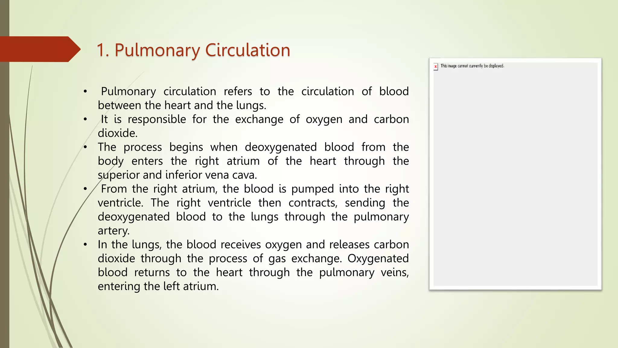 Circulation of blood in human body ppt.pptx