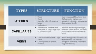 TYPES STRUCTURE FUNCTION
ATERIES
• Thick
• Elastic
• Muscular walls with a narrow
lumen
• Lacks valves.
Carry oxygenated blood away from
the heart under high pressure
(exception: pulmonary artery carries
deoxygenated blood).
CAPILLARIES
• Network with extremely thin
walls made of only a single layer
of endothelial cells
.Facilitate the exchange of oxygen,
nutrients, carbon dioxide, and waste
products between blood and body
tissues.
VEINS
• Thin muscular walls with a large
lumen
• One-way valves to prevent
backflow
Return deoxygenated blood back to
the heart under low pressure
(exception: pulmonary vein carries
oxygenated blood).
 