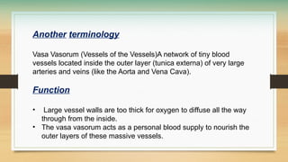 Another terminology
Vasa Vasorum (Vessels of the Vessels)A network of tiny blood
vessels located inside the outer layer (tunica externa) of very large
arteries and veins (like the Aorta and Vena Cava).
Function
• Large vessel walls are too thick for oxygen to diffuse all the way
through from the inside.
• The vasa vasorum acts as a personal blood supply to nourish the
outer layers of these massive vessels.
 