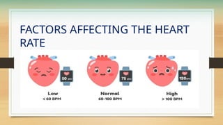 FACTORS AFFECTING THE HEART
RATE
 