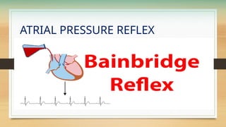 ATRIAL PRESSURE REFLEX
 