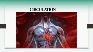 CIRCULATION
 