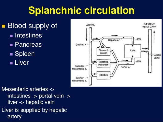 9 supply through Circulation regions 3 special 9 supply through Circulation regions 3 special