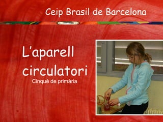 Ceip Brasil de Barcelona  Cinquè de primària L’aparell  circulatori 