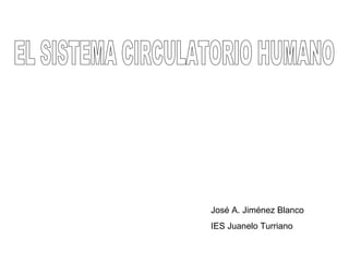 EL SISTEMA CIRCULATORIO HUMANO José A. Jiménez Blanco IES Juanelo Turriano 