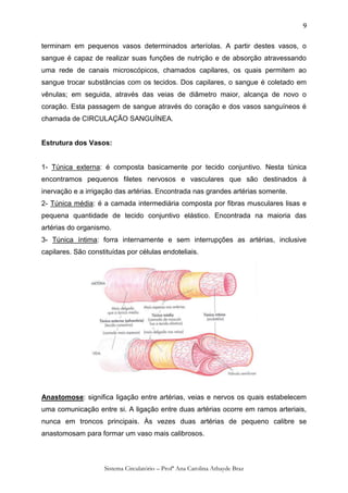 9

terminam em pequenos vasos determinados arteríolas. A partir destes vasos, o
sangue é capaz de realizar suas funções de nutrição e de absorção atravessando
uma rede de canais microscópicos, chamados capilares, os quais permitem ao
sangue trocar substâncias com os tecidos. Dos capilares, o sangue é coletado em
vênulas; em seguida, através das veias de diâmetro maior, alcança de novo o
coração. Esta passagem de sangue através do coração e dos vasos sanguíneos é
chamada de CIRCULAÇÃO SANGUÍNEA.


Estrutura dos Vasos:


1- Túnica externa: é composta basicamente por tecido conjuntivo. Nesta túnica
encontramos pequenos filetes nervosos e vasculares que são destinados à
inervação e a irrigação das artérias. Encontrada nas grandes artérias somente.
2- Túnica média: é a camada intermediária composta por fibras musculares lisas e
pequena quantidade de tecido conjuntivo elástico. Encontrada na maioria das
artérias do organismo.
3- Túnica íntima: forra internamente e sem interrupções as artérias, inclusive
capilares. São constituídas por células endoteliais.




Anastomose: significa ligação entre artérias, veias e nervos os quais estabelecem
uma comunicação entre si. A ligação entre duas artérias ocorre em ramos arteriais,
nunca em troncos principais. Às vezes duas artérias de pequeno calibre se
anastomosam para formar um vaso mais calibrosos.



                    Sistema Circulatório – Profª Ana Carolina Athayde Braz
 