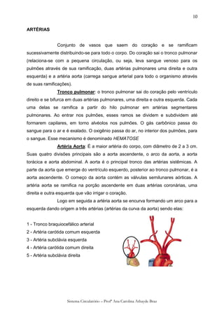 10

ARTÉRIAS


                Conjunto de vasos que saem do coração e se ramificam
sucessivamente distribuindo-se para todo o corpo. Do coração sai o tronco pulmonar
(relaciona-se com a pequena circulação, ou seja, leva sangue venoso para os
pulmões através de sua ramificação, duas artérias pulmonares uma direita e outra
esquerda) e a artéria aorta (carrega sangue arterial para todo o organismo através
de suas ramificações).
                Tronco pulmonar: o tronco pulmonar sai do coração pelo ventrículo
direito e se bifurca em duas artérias pulmonares, uma direita e outra esquerda. Cada
uma delas se ramifica a partir do hilo pulmonar em artérias segmentares
pulmonares. Ao entrar nos pulmões, esses ramos se dividem e subdividem até
formarem capilares, em torno alvéolos nos pulmões. O gás carbônico passa do
sangue para o ar e é exalado. O oxigênio passa do ar, no interior dos pulmões, para
o sangue. Esse mecanismo é denominado HEMATOSE
                Artéria Aorta: É a maior artéria do corpo, com diâmetro de 2 a 3 cm.
Suas quatro divisões principais são a aorta ascendente, o arco da aorta, a aorta
torácica e aorta abdominal. A aorta é o principal tronco das artérias sistêmicas. A
parte da aorta que emerge do ventrículo esquerdo, posterior ao tronco pulmonar, é a
aorta ascendente. O começo da aorta contém as válvulas semilunares aórticas. A
artéria aorta se ramifica na porção ascendente em duas artérias coronárias, uma
direita e outra esquerda que vão irrigar o coração.
                Logo em seguida a artéria aorta se encurva formando um arco para a
esquerda dando origem a três artérias (artérias da curva da aorta) sendo elas:


1 - Tronco braquiocefálico arterial
2 - Artéria carótida comum esquerda
3 - Artéria subclávia esquerda
4 - Artéria carótida comum direita
5 - Artéria subclávia direita




                     Sistema Circulatório – Profª Ana Carolina Athayde Braz
 