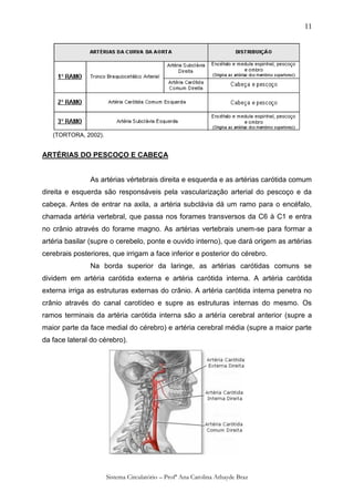 11




   (TORTORA, 2002).


ARTÉRIAS DO PESCOÇO E CABEÇA


               As artérias vértebrais direita e esquerda e as artérias carótida comum
direita e esquerda são responsáveis pela vascularização arterial do pescoço e da
cabeça. Antes de entrar na axila, a artéria subclávia dá um ramo para o encéfalo,
chamada artéria vertebral, que passa nos forames transversos da C6 à C1 e entra
no crânio através do forame magno. As artérias vertebrais unem-se para formar a
artéria basilar (supre o cerebelo, ponte e ouvido interno), que dará origem as artérias
cerebrais posteriores, que irrigam a face inferior e posterior do cérebro.
               Na borda superior da laringe, as artérias carótidas comuns se
dividem em artéria carótida externa e artéria carótida interna. A artéria carótida
externa irriga as estruturas externas do crânio. A artéria carótida interna penetra no
crânio através do canal carotídeo e supre as estruturas internas do mesmo. Os
ramos terminais da artéria carótida interna são a artéria cerebral anterior (supre a
maior parte da face medial do cérebro) e artéria cerebral média (supre a maior parte
da face lateral do cérebro).




                      Sistema Circulatório – Profª Ana Carolina Athayde Braz
 