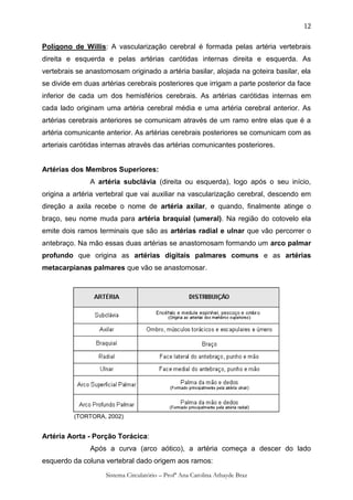 12

Polígono de Willis: A vascularização cerebral é formada pelas artéria vertebrais
direita e esquerda e pelas artérias carótidas internas direita e esquerda. As
vertebrais se anastomosam originado a artéria basilar, alojada na goteira basilar, ela
se divide em duas artérias cerebrais posteriores que irrigam a parte posterior da face
inferior de cada um dos hemisférios cerebrais. As artérias carótidas internas em
cada lado originam uma artéria cerebral média e uma artéria cerebral anterior. As
artérias cerebrais anteriores se comunicam através de um ramo entre elas que é a
artéria comunicante anterior. As artérias cerebrais posteriores se comunicam com as
arteriais carótidas internas através das artérias comunicantes posteriores.


Artérias dos Membros Superiores:
               A artéria subclávia (direita ou esquerda), logo após o seu início,
origina a artéria vertebral que vai auxiliar na vascularização cerebral, descendo em
direção a axila recebe o nome de artéria axilar, e quando, finalmente atinge o
braço, seu nome muda para artéria braquial (umeral). Na região do cotovelo ela
emite dois ramos terminais que são as artérias radial e ulnar que vão percorrer o
antebraço. Na mão essas duas artérias se anastomosam formando um arco palmar
profundo que origina as artérias digitais palmares comuns e as artérias
metacarpianas palmares que vão se anastomosar.




          (TORTORA, 2002)


Artéria Aorta - Porção Torácica:
               Após a curva (arco aótico), a artéria começa a descer do lado
esquerdo da coluna vertebral dado origem aos ramos:
                    Sistema Circulatório – Profª Ana Carolina Athayde Braz
 