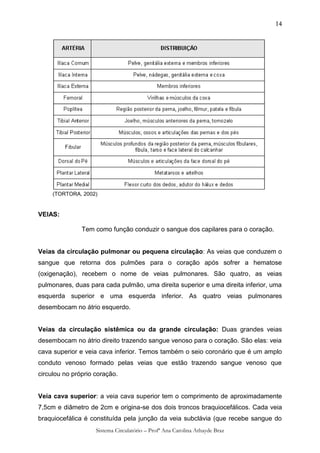 14




     (TORTORA, 2002)


VEIAS:

               Tem como função conduzir o sangue dos capilares para o coração.


Veias da circulação pulmonar ou pequena circulação: As veias que conduzem o
sangue que retorna dos pulmões para o coração após sofrer a hematose
(oxigenação), recebem o nome de veias pulmonares. São quatro, as veias
pulmonares, duas para cada pulmão, uma direita superior e uma direita inferior, uma
esquerda superior e uma esquerda inferior. As quatro veias pulmonares
desembocam no átrio esquerdo.


Veias da circulação sistêmica ou da grande circulação: Duas grandes veias
desembocam no átrio direito trazendo sangue venoso para o coração. São elas: veia
cava superior e veia cava inferior. Temos também o seio coronário que é um amplo
conduto venoso formado pelas veias que estão trazendo sangue venoso que
circulou no próprio coração.


Veia cava superior: a veia cava superior tem o comprimento de aproximadamente
7,5cm e diâmetro de 2cm e origina-se dos dois troncos braquiocefálicos. Cada veia
braquiocefálica é constituída pela junção da veia subclávia (que recebe sangue do
                    Sistema Circulatório – Profª Ana Carolina Athayde Braz
 