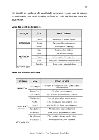 17

Em seguida os capilares vão constituindo novamente vênulas que se reúnem
sucessivamente para formar as veias hepáticas as quais vão desembocar na veia
cava inferior.


Veias dos Membros Superiores




     (TORTORA, 2002)


Veias dos Membros Inferiores




     (TORTORA, 2002)




                   Sistema Circulatório – Profª Ana Carolina Athayde Braz
 