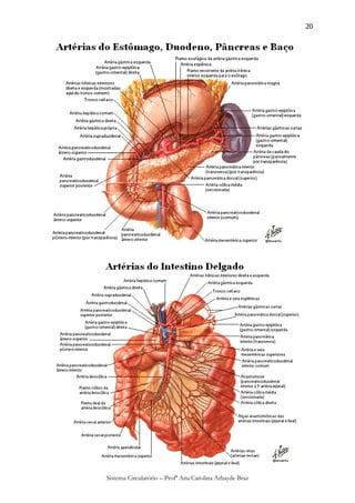 20




Sistema Circulatório – Profª Ana Carolina Athayde Braz
 