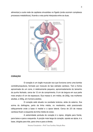 3

alimentos) e outra rede de capilares sinusóides no fígado (onde ocorrem complexos
processos metabólicos), ficando a veia porta interposta entre as duas.




CORAÇÃO


                O coração é um órgão muscular oco que funciona como uma bomba
contrátil-propulsora, formado por músculo do tipo estriado cardíaco. Tem a forma
aproximada de um cone, é relativamente pequeno, aproximadamente do tamanho
do punho fechado, cerca de 12 cm de comprimento, 9 cm de largura em sua parte
mais ampla e 6 cm de espessura. Sua massa é, em média, de 250g, nas mulheres
adultas, e 300g, em homens adultos.
                O coração está situado na cavidade torácica, atrás do esterno, fica
acima do diafragma, perto da linha média, no mediastino, está posicionado
obliquamente onde a base é medial e o ápice lateral. Cerca de 2/3 de massa
cardíaca ficam a esquerda da linha média do corpo.
                A extremidade pontuda do coração é o ápice, dirigida para frente,
para baixo e para a esquerda. A porção mais larga do coração, oposta ao ápice, é a
base, dirigida para trás, para cima e para a direita.
                     Sistema Circulatório – Profª Ana Carolina Athayde Braz
 