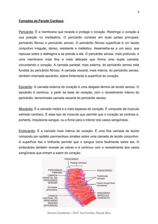 4

Camadas da Parede Cardíaca:


Pericárdio: É a membrana que reveste e protege o coração. Restringe o coração à
sua posição no mediastino. O pericárdio consiste em duas partes principais:
pericárdio fibroso e pericárdio seroso. O pericárdio fibroso superficial é um tecido
conjuntivo irregular, denso, resistente e inelástico. Assemelha-se a um saco, que
repousa sobre o diafragma e se prende a ele. O pericárdio seroso, mais profundo, é
uma membrana mais fina e mais delicada que forma uma dupla camada,
circundando o coração. A camada parietal, mais externa, do pericárdio seroso está
fundida ao pericárdio fibroso. A camada visceral, mais interna, do pericárdio seroso,
também chamada epicárdio, adere fortemente à superfície do coração.


Epicárdio: A camada externa do coração é uma delgada lâmina de tecido seroso. O
epicárdio é contínuo, a partir da base do coração, com o revestimento interno do
pericárdio, denominado camada visceral do pericárdio seroso.


Miocárdio: É a camada média e a mais espessa do coração. É composto de músculo
estriado cardíaco. É esse tipo de músculo que permite que o coração se contraia e,
portanto, impulsione sangue, ou o force para o interior dos vasos sangüíneos.


Endocárdio: É a camada mais interna do coração. É uma fina camada de tecido
composto por epitélio pavimentoso simples sobre uma camada de tecido conjuntivo.
A superfície lisa e brilhante permite que o sangue corra facilmente sobre ela. O
endocárdio também reveste as valvas e é contínuo com o revestimento dos vasos
sangüíneos que entram e saem do coração.




                    Sistema Circulatório – Profª Ana Carolina Athayde Braz
 