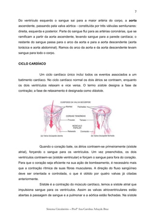 7

Do ventrículo esquerdo o sangue sai para a maior artéria do corpo, a aorta
ascendente, passando pela valva aórtica - constituída por três válvulas semilunares:
direita, esquerda e posterior. Parte do sangue flui para as artérias coronárias, que se
ramificam a partir da aorta ascendente, levando sangue para a parede cardíaca; o
restante do sangue passa para o arco da aorta e para a aorta descendente (aorta
torácica e aorta abdominal). Ramos do arco da aorta e da aorta descendente levam
sangue para todo o corpo.


CICLO CARDÍACO


                 Um ciclo cardíaco único inclui todos os eventos associados a um
batimento cardíaco. No ciclo cardíaco normal os dois átrios se contraem, enquanto
os dois ventrículos relaxam e vice versa. O termo sístole designa a fase de
contração; a fase de relaxamento é designada como diástole.




                 Quando o coração bate, os átrios contraem-se primeiramente (sístole
atrial), forçando o sangue para os ventrículos. Um vez preenchidos, os dois
ventrículos contraem-se (sístole ventricular) e forçam o sangue para fora do coração.
Para que o coração seja eficiente na sua ação de bombeamento, é necessário mais
que a contração rítmica de suas fibras musculares. A direção do fluxo sangüíneo
deve ser orientada e controlada, o que é obtido por quatro valvas já citadas
anteriormente.
                 Sístole é a contração do músculo cardíaco, temos a sístole atrial que
impulsiona sangue para os ventrículos. Assim as valvas atrioventriculares estão
abertas à passagem de sangue e a pulmonar e a aórtica estão fechadas. Na sístole



                     Sistema Circulatório – Profª Ana Carolina Athayde Braz
 