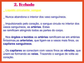 2. Fechado:
_ Líquido circulante: sangue
_ Nunca abandona o interior dos vaso sanguíneos.
_ Impulsionado pelo coração, o sangue circula no interior dos
vasos sanguíneos, as artérias. Estas
se ramificam atingindo todos as partes do corpo.
_ Nos órgãos e tecidos as artérias ramificam-se em artérias
finíssimas,as arteríolas, que ligam-se a vasos mais finos, os
capilares sanguíneos.
_ Os capilares se conectam com vasos finos as vênulas, que
unem-se formando as veias. Trazendo o sangue de volta ao
coração.
 