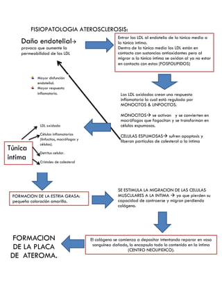 FISIOPATOLOGIA ATEROSCLEROSIS:
Daño endotelial
provoca que aumente la
permeabilidad de las LDL
Entrar las LDL al endotelio de la túnica media a
la túnica intima.
Dentro de la túnica media las LDL están en
contacto con sustancias antioxidantes pero al
migrar a la túnica íntima se oxidan al ya no estar
en contacto con estas (FOSFOLIPIDOS)
Las LDL oxidadas crean una respuesta
inflamatoria la cual está regulada por
MONOCITOS & LINFOCITOS.
MONOCITOS se activan y se convierten en
macrófagos que fagocitan y se transforman en
células espumosas.
CELULAS ESPUMOSAS sufren apoptosis y
liberan partículas de colesterol a la intima
Túnica
intima
FORMACION DE LA ESTRIA GRASA:
pequeña coloración amarilla.
SE ESTIMULA LA MIGRACION DE LAS CELULAS
MUSCULARES A LA INTIMA  ya que pierden su
capacidad de contraerse y migran perdiendo
colágeno.
El colágeno se comienza a depositar intentando reparar en vaso
sanguíneo dañado, lo encapsula todo lo contenido en la íntima
(CENTRO NEOLIPIDICO).
Mayor disfunción
endotelial.
Mayor respuesta
inflamatoria.
LDL oxidada
Células inflamatorias
(linfocitos, macrófagos y
células).
Detritus celular.
Cristales de colesterol
FORMACION
DE LA PLACA
DE ATEROMA.
 