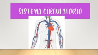 Introducción al Sistema Circulatorio