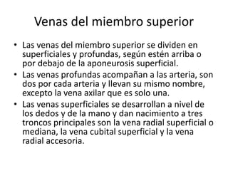 Venas del miembro superior
• Las venas del miembro superior se dividen en
superficiales y profundas, según estén arriba o
por debajo de la aponeurosis superficial.
• Las venas profundas acompañan a las arteria, son
dos por cada arteria y llevan su mismo nombre,
excepto la vena axilar que es solo una.
• Las venas superficiales se desarrollan a nivel de
los dedos y de la mano y dan nacimiento a tres
troncos principales son la vena radial superficial o
mediana, la vena cubital superficial y la vena
radial accesoria.
 