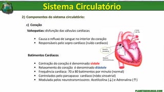 2) Componentes do sistema circulatório:
c) Coração
Valvopatias: disfunção das válvulas cardíacas
▪ Causa o refluxo de sangue no interior do coração
▪ Responsáveis pelo sopro cardíaco (ruído cardíaco)
Batimentos Cardíacos
▪ Contração do coração é denominado sístole
▪ Relaxamento do coração é denominado diástole
▪ Frequência cardíaca: 70 a 80 batimentos por minuto (normal)
▪ Controlados pelo parcapasso cardíaco (nódo sinoatrial)
▪ Modulada pelos neurotransmissores: Acetilcolina (↓) e Adrenalina (↑)
Sistema Circulatório
 