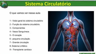 O que vamos ver nessa aula:
1 - Visão geral do sistema circulatório
2 - Função do sistema circulatório
3 - Componentes
4 - Vasos Sanguíneos
5 - O coração
6 - pequena circulação
7 - Grande circulação
8- Sistema Linfático
9 – Transplante cardíaco
Sistema Circulatório
 