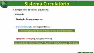 2) Componentes do sistema circulatório:
c) Coração
Circulação de sangue no corpo
I) Grande circulação (Circulação sistêmica)
II) Pequena circulação (Circulação pulmonar)
Ventrículo Esquerdo → Aorta → Tecidos → Veias Cava → Átrio Direito
Ventrículo Direito → Artéria Pulmonar → Pulmões → Veias Pulmonares → Átrio Direito
Sistema Circulatório
 
