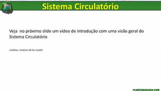Veja no próximo slide um vídeo de introdução com uma visão geral do
Sistema Circulatório
créditos: medical 3D for health
Sistema Circulatório
 