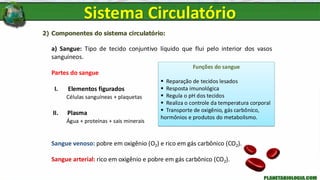 2) Componentes do sistema circulatório:
a) Sangue: Tipo de tecido conjuntivo líquido que flui pelo interior dos vasos
sanguíneos.
Partes do sangue
I. Elementos figurados
Células sanguíneas + plaquetas
II. Plasma
Água + proteínas + sais minerais
Sangue venoso: pobre em oxigênio (O2) e rico em gás carbônico (CO2).
Sangue arterial: rico em oxigênio e pobre em gás carbônico (CO2).
Funções do sangue
▪ Reparação de tecidos lesados
▪ Resposta imunológica
▪ Regula o pH dos tecidos
▪ Realiza o controle da temperatura corporal
▪ Transporte de oxigênio, gás carbônico,
hormônios e produtos do metabolismo.
Sistema Circulatório
 